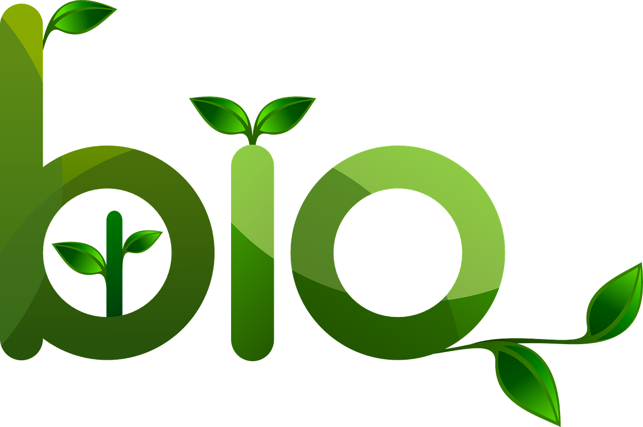 Bond Cleaning Brisbane